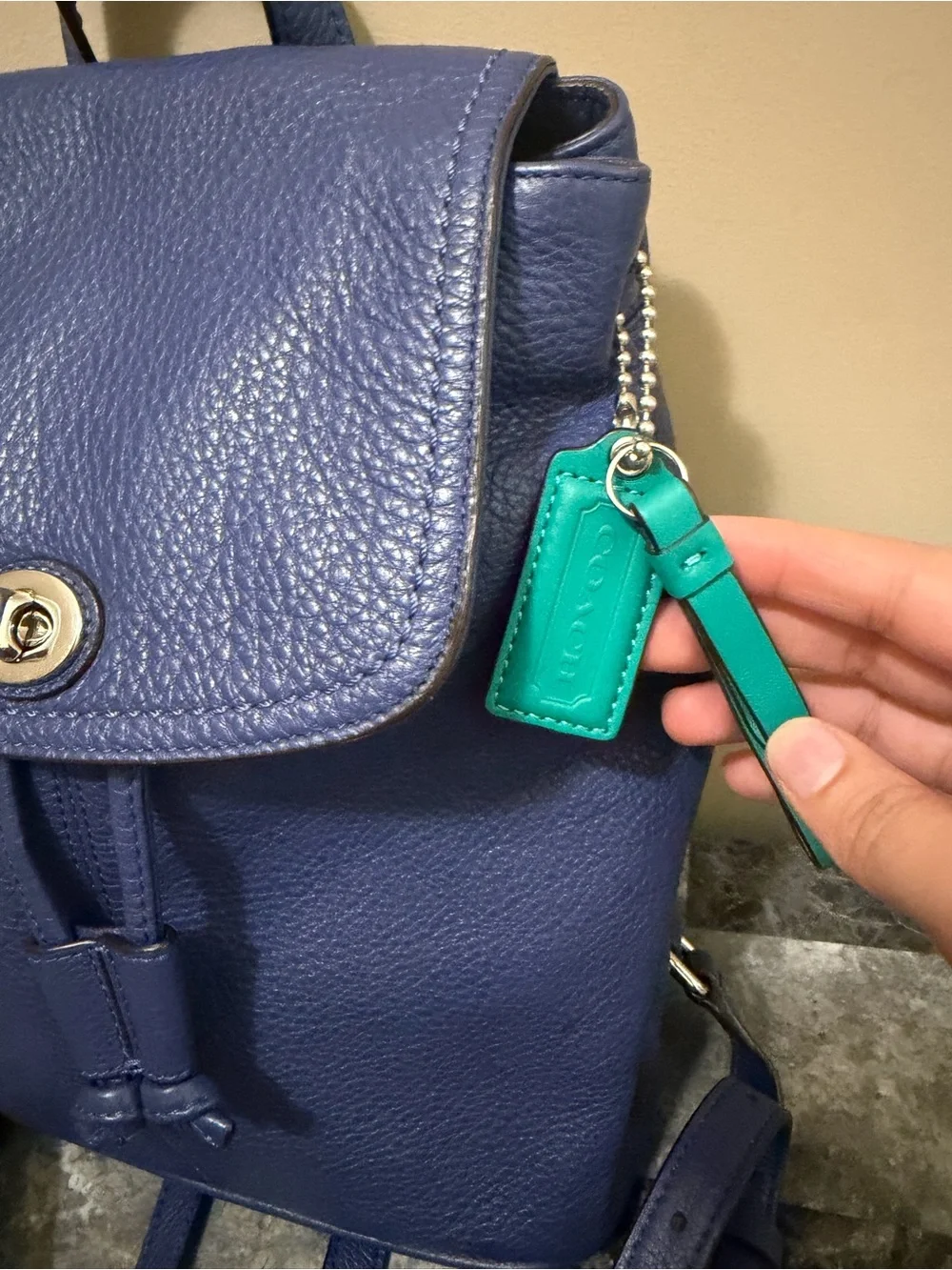 Coach Park Leather Backpack French Blue Royal Teal Lining Mini Shoulder Bag